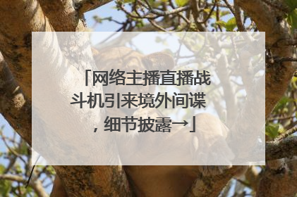 网络主播直播战斗机引来境外间谍，细节披露→