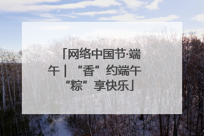 网络中国节·端午｜“香”约端午 “粽”享快乐