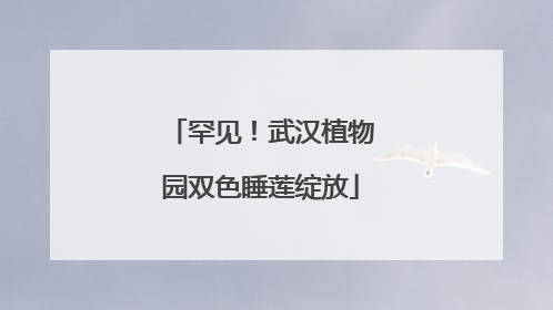 罕见！武汉植物园双色睡莲绽放