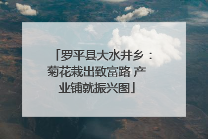 罗平县大水井乡：菊花栽出致富路 产业铺就振兴图