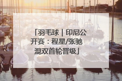 羽毛球｜印尼公开赛：程星/张驰混双首轮晋级