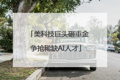 美科技巨头砸重金争抢稀缺AI人才