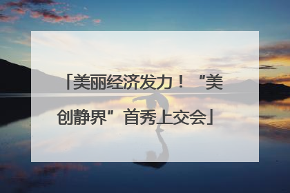 美丽经济发力！“美创静界”首秀上交会