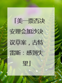 美一票否决安理会加沙决议草案，古特雷斯：感到失望