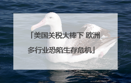 美国关税大棒下 欧洲多行业恐陷生存危机