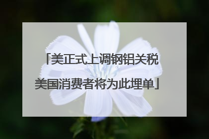 美正式上调钢铝关税 美国消费者将为此埋单