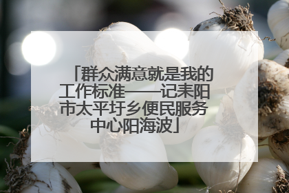 群众满意就是我的工作标准——记耒阳市太平圩乡便民服务中心阳海波