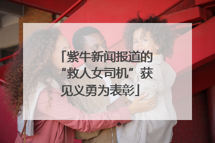 紫牛新闻报道的“救人女司机”获见义勇为表彰