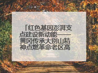 红色基因澎湃支点建设新动能——黄冈传承大别山精神点燃革命老区高质量发展新引擎