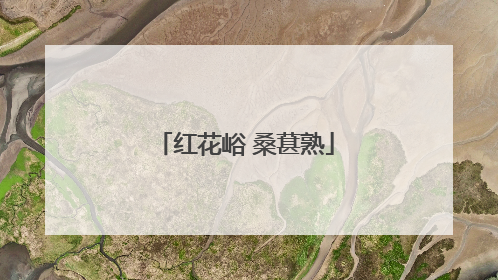 红花峪 桑葚熟