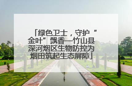 绿色卫士，守护“金叶”飘香—竹山县深河烟区生物防控为烟田筑起生态屏障