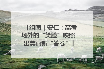 组图｜安仁：高考场外的“笑脸”映照出美丽新“答卷”