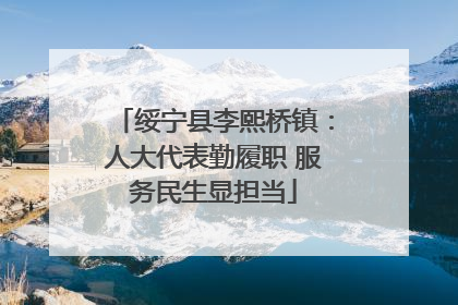 绥宁县李熙桥镇：人大代表勤履职 服务民生显担当