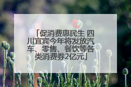 促消费惠民生 四川宜宾今年将发放汽车、零售、餐饮等各类消费券2亿元