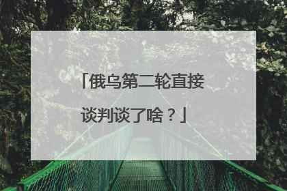 俄乌第二轮直接谈判谈了啥？