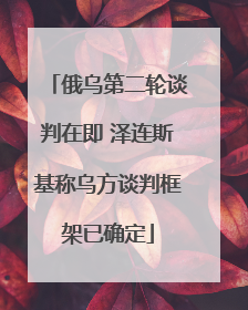 俄乌第二轮谈判在即 泽连斯基称乌方谈判框架已确定