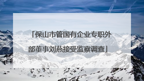 保山市管国有企业专职外部董事刘燕接受监察调查