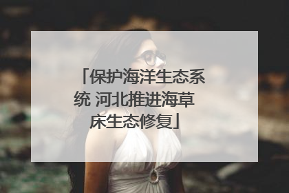 保护海洋生态系统 河北推进海草床生态修复