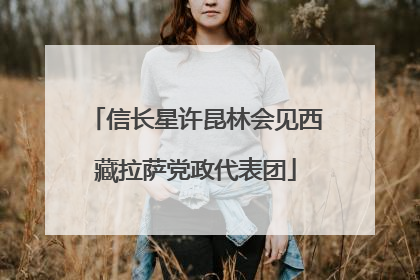 信长星许昆林会见西藏拉萨党政代表团