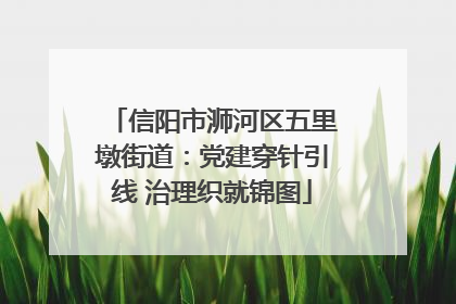 信阳市浉河区五里墩街道：党建穿针引线 治理织就锦图