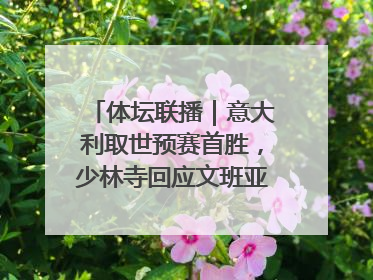 体坛联播｜意大利取世预赛首胜，少林寺回应文班亚马闭关修行