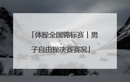 体操全国锦标赛丨男子自由操决赛赛况
