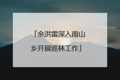 余洪雷深入南山乡开展巡林工作