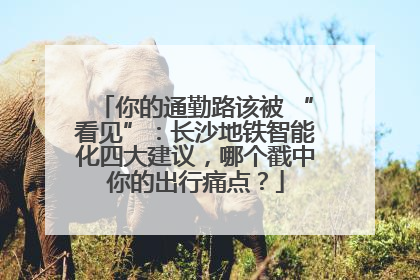 你的通勤路该被 “看见”：长沙地铁智能化四大建议，哪个戳中你的出行痛点？