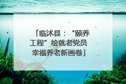 临沭县：“颐养工程”绘就老党员幸福养老新画卷