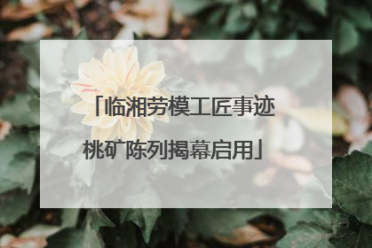 临湘劳模工匠事迹桃矿陈列揭幕启用