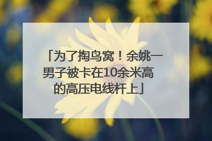 为了掏鸟窝！余姚一男子被卡在10余米高的高压电线杆上