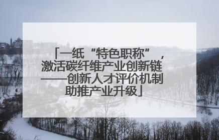 一纸“特色职称”，激活碳纤维产业创新链——创新人才评价机制 助推产业升级