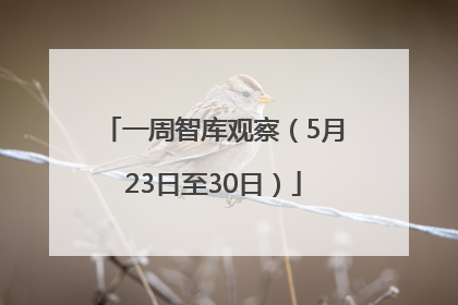 一周智库观察（5月23日至30日）