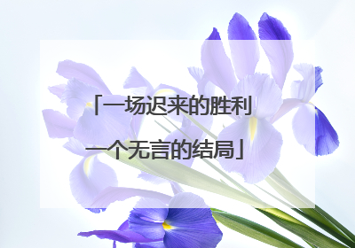 一场迟来的胜利 一个无言的结局