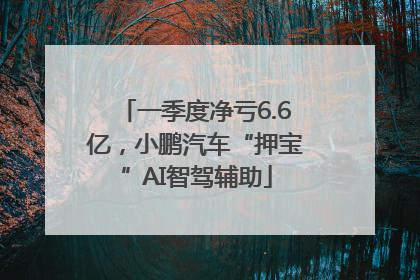 一季度净亏6.6亿，小鹏汽车“押宝”AI智驾辅助
