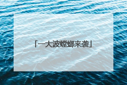 一大波螳螂来袭