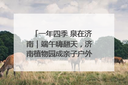 一年四季 泉在济南｜端午嗨翻天，济南植物园成亲子户外热门打卡地