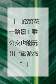 一路繁花一路景！乘公交也能玩出“旅游感”