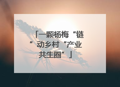 一颗杨梅“链”动乡村“产业共生圈”