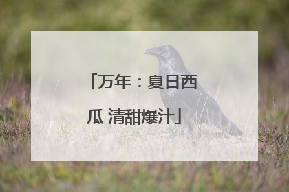 万年：夏日西瓜 清甜爆汁