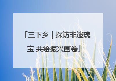 三下乡｜探访非遗瑰宝 共绘振兴画卷