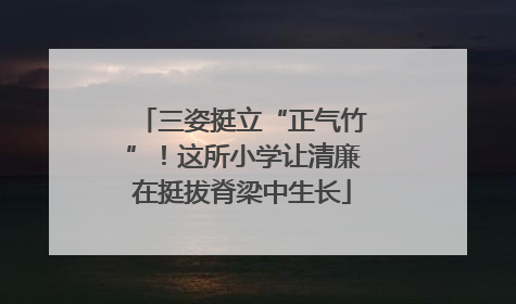 三姿挺立“正气竹”！这所小学让清廉在挺拔脊梁中生长