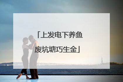 上发电下养鱼 废坑塘巧生金