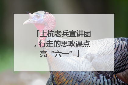 上杭老兵宣讲团，行走的思政课点亮“六一”