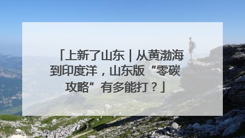 上新了山东｜从黄渤海到印度洋，山东版“零碳攻略”有多能打？