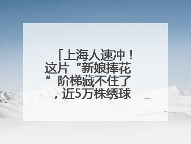 上海人速冲！这片“新娘捧花”阶梯藏不住了，近5万株绣球花如梦似幻