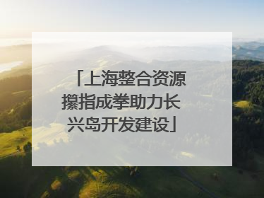 上海整合资源攥指成拳助力长兴岛开发建设