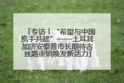 专访丨“希望与中国携手共建”——土耳其加济安泰普市长期待古丝路重镇焕发新活力
