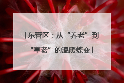 东营区：从“养老”到“享老”的温暖蝶变