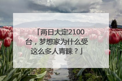 两日大定2100台，梦想家为什么受这么多人青睐？